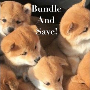 Bundles